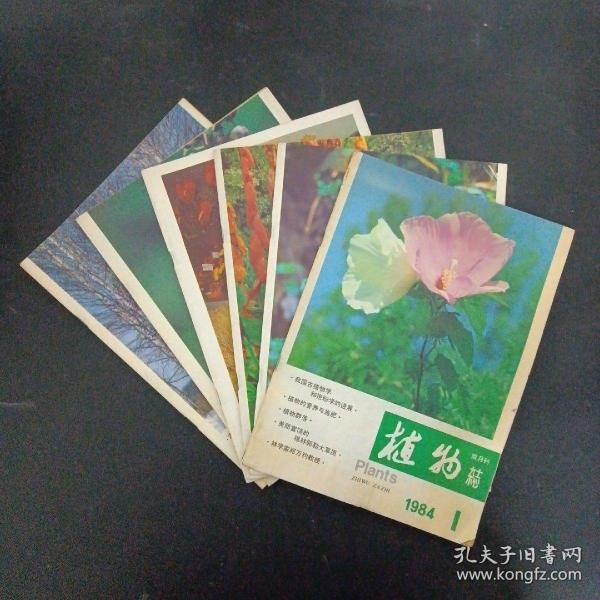 植物杂志 1984年 双月刊 第1-6期（第1、2、3、4、5、6期）共6本合售