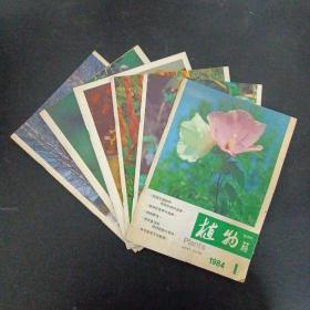 植物杂志 1984年 双月刊 第1-6期（第1、2、3、4、5、6期）共6本合售