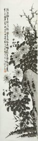 卢静涵