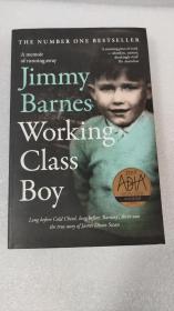 Jimmy Barnes  Working Class Boy   (Z Z J)