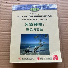 污染预防理论与实践（影印）