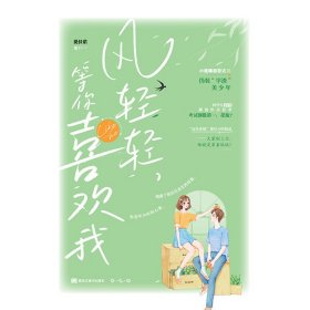 风轻轻，等你喜欢我