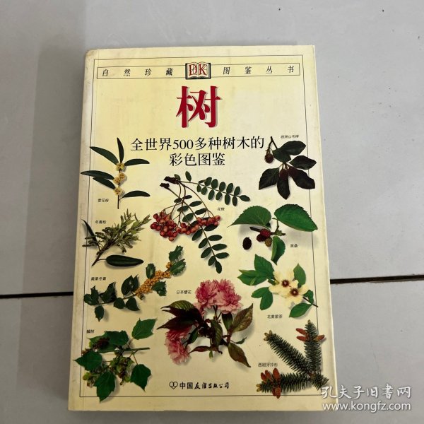 树：全世界500多种树木的彩色图鉴