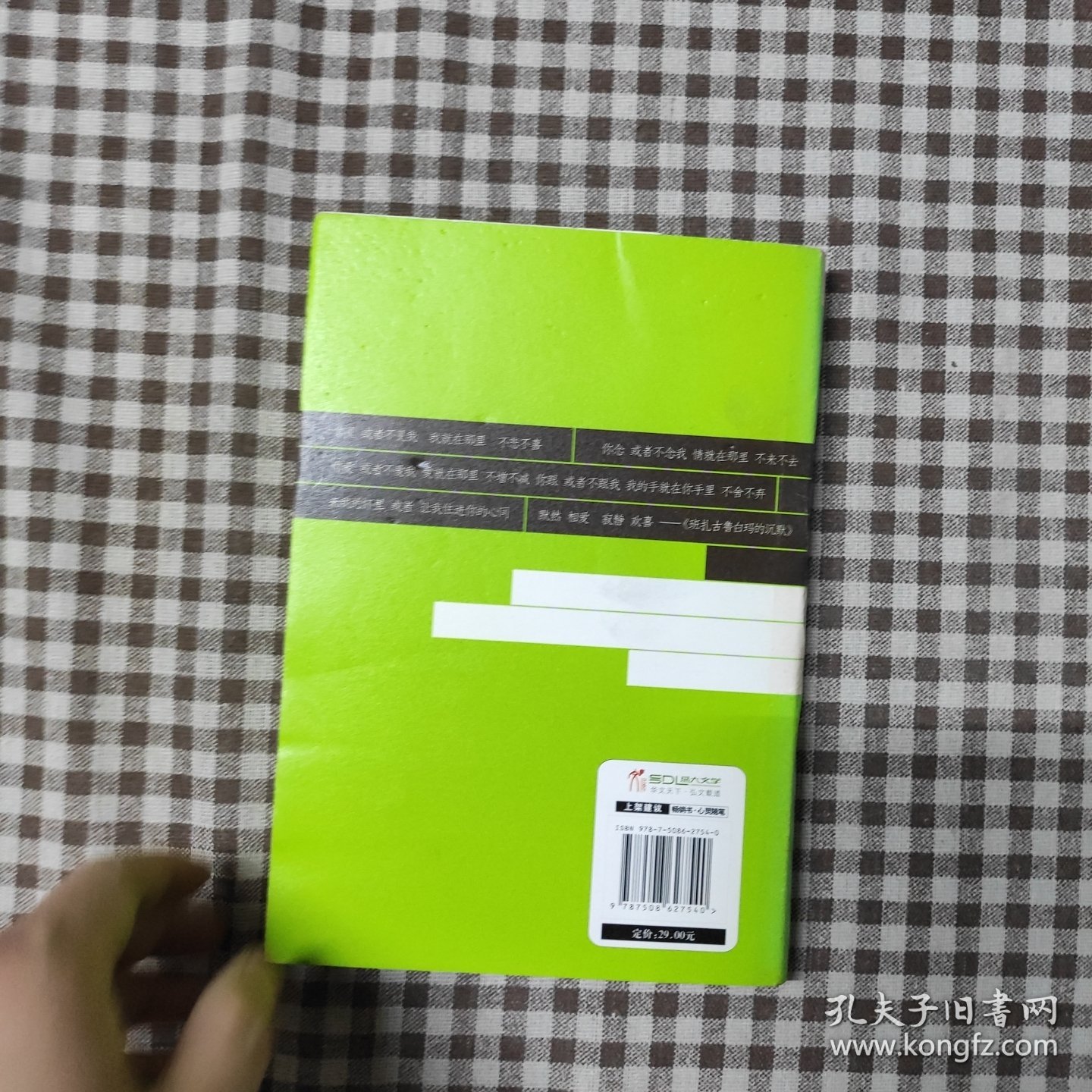 当你途经我的盛放：—一个行者的心灵旅程