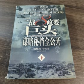 二战8政要巨头谋略秘档全公开（下册）