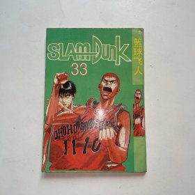 篮球飞人33