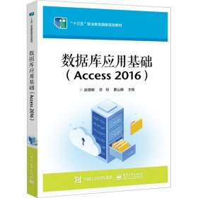 数据库应用基础(Access
