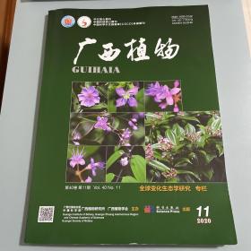广西植物 2020/11
