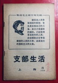 文化革命刊物 支部生活 上海 1968–25