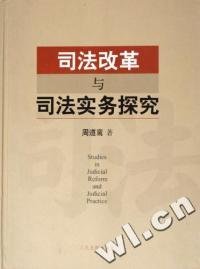 司法改革与司法实务探究