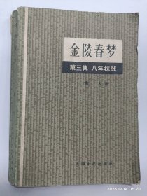 金陵春梦第三集八年抗战普通图书/国学古籍/社会文化10077