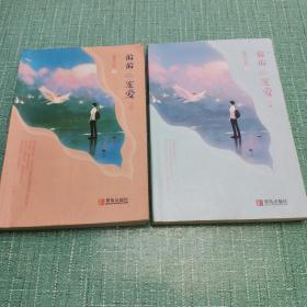 偏偏宠爱（上下）晋江文学城金榜作品