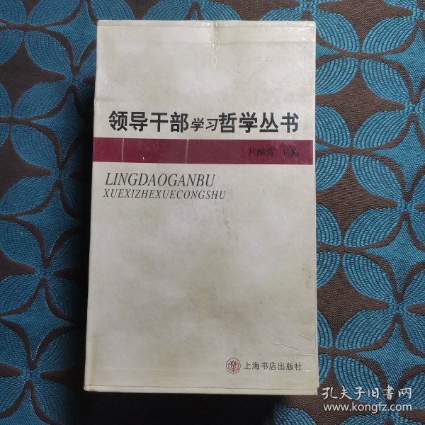 领导干部学习哲学丛书 9册全 效率与公平等...