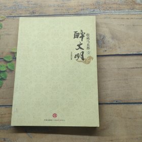 收藏马未都1：醉文明