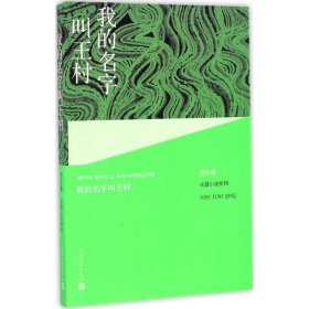 我的名字叫王村