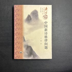 中国新诗格律问题