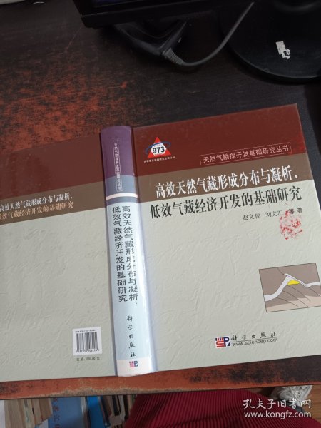 高效天然气形成分布与凝析、低效气藏经济开发的基础研究