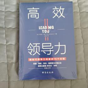 高效领导力（新时代领导力突破的15个关键）