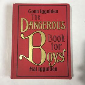 The Dangerous Book for Boys  男孩的危险书 英文原版  精装