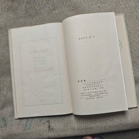 远望集