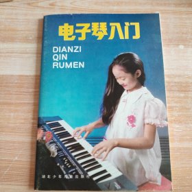 电子琴人门