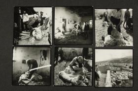 48张 60年代照片 新疆人民老照片一组 按图发货 60年代老照片