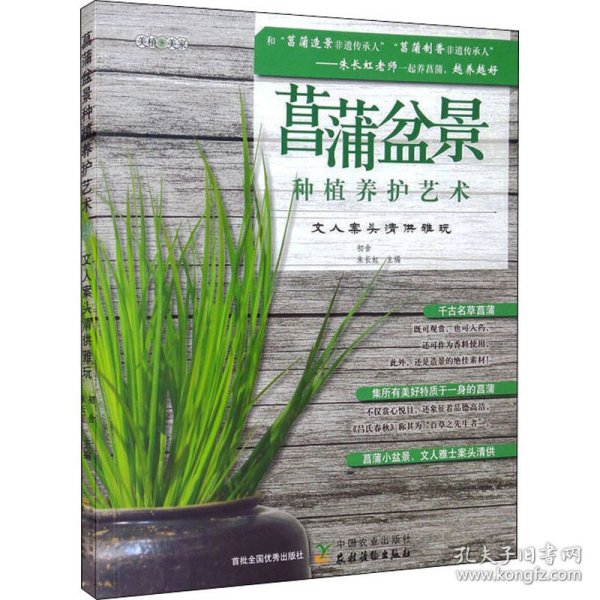 菖蒲盆景种植养护艺术：文人案头清供雅玩