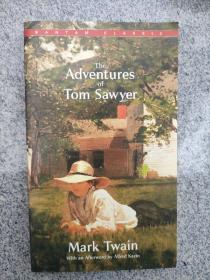 The Adventures of Tom Sawyer汤姆·索亚历险记