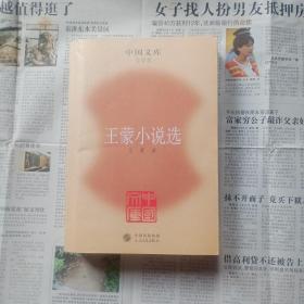 王蒙小说选