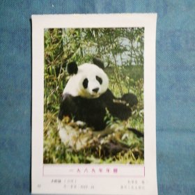 年画缩样散页：《一九八九年年历——大熊猫》
