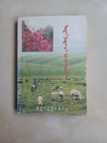 柳乡绿珠蒙文