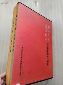 8开 书法摄影作品集两本一套售价80元，