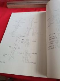 正常人体形态学解剖图谱（试用教材）