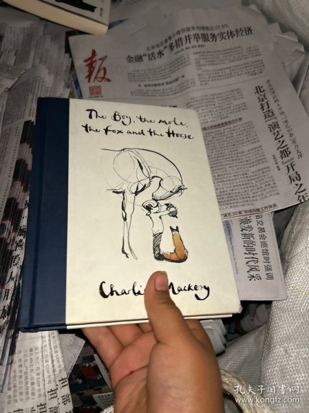 The Boy, The Mole, The Fox and The Horse 男孩、鼹鼠、狐狸和马，2019年英国水石书店年度图书与美国巴诺书店年度图书、查理·麦克西作品，英文原版
