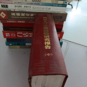 国家人口发展战略研究报告.中册