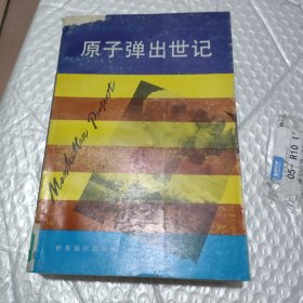 尕子弹出世记