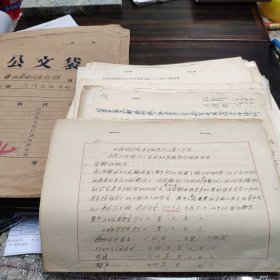 （民族语言研究资料）中科院语言所川康工作队五十年代新彝文实验班等总结材料底稿等多份一组， 8开和16开本