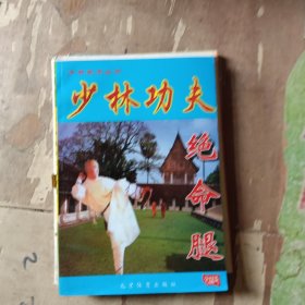 少林功夫绝命腿