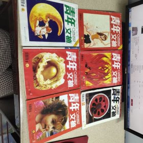 青年文摘2005 绿版 6 10 11期+ 2005红版 8 +2006红版 8+ 2005 彩版 11 +2007 红版 1+2008 11【8本合售】