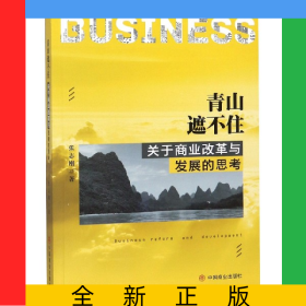 青山遮不住(关于商业改革与发展的思考)