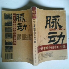 脉动一个记者眼中的今日中国