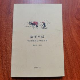 脚里生活 农村的极限与农村的黄昏