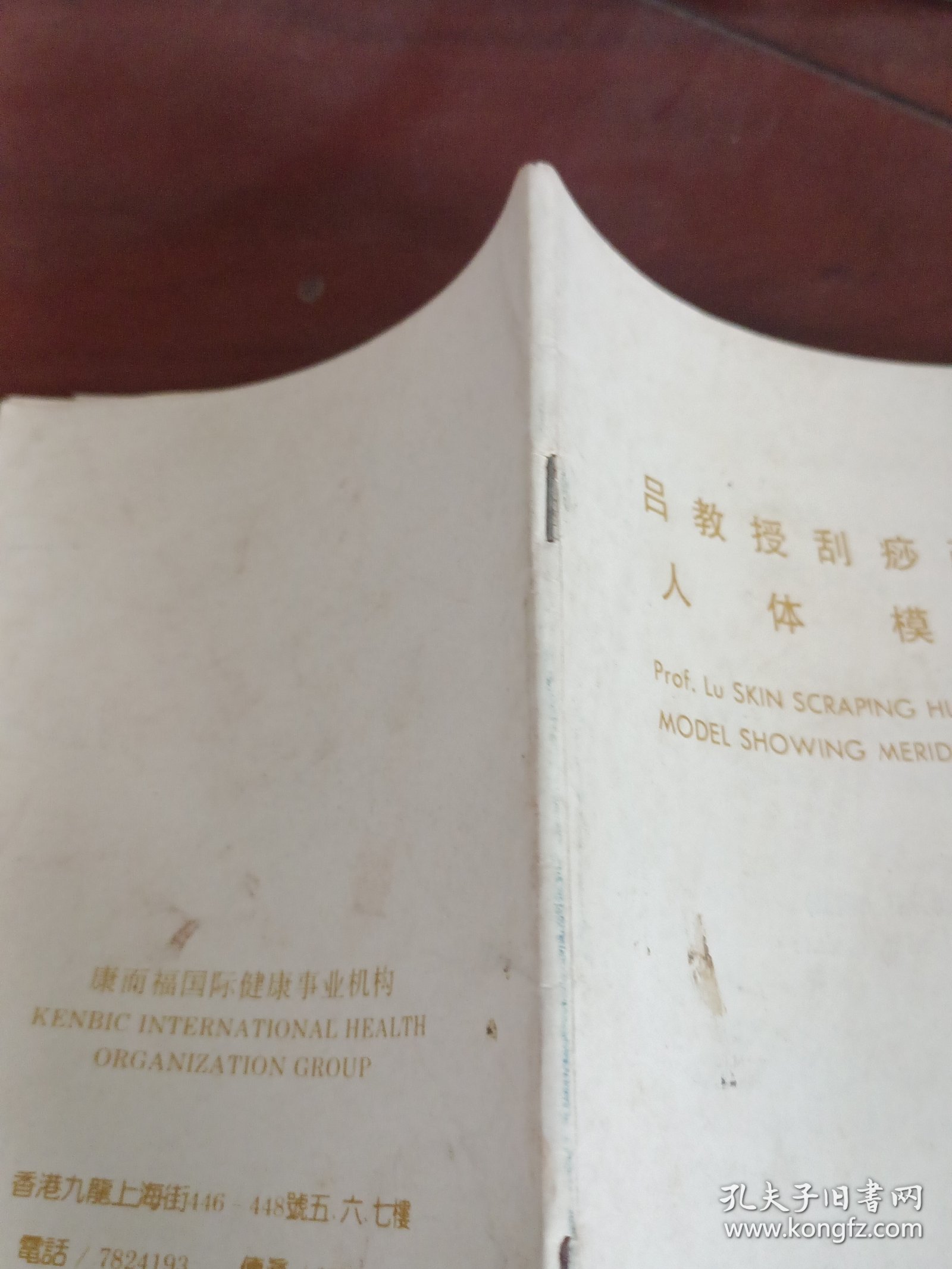 吕教授刮痧疏经人体模型。