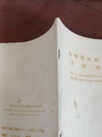 吕教授刮痧疏经人体模型。