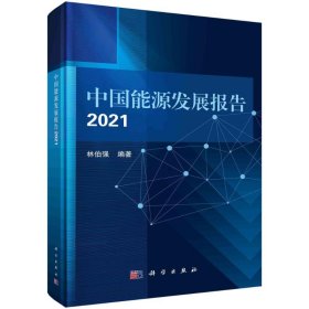 中国能源发展报告2021