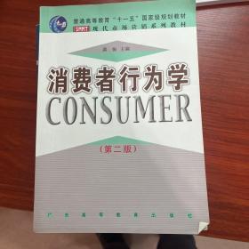 消费者行为学（第二版）