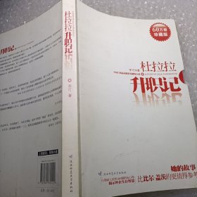 杜拉拉升职记