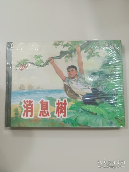 消息树