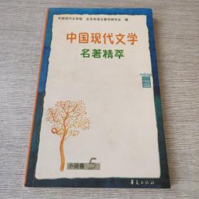 中国现代文学名著精萃  小说5