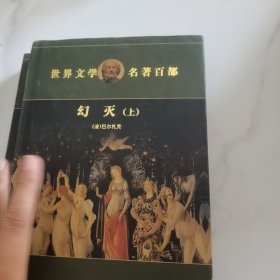 名著百部世界文学幻灭（上下）两册